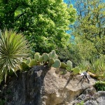 Jardins de la Roque Gageac