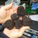 truffes3